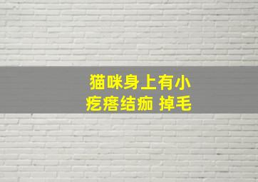 猫咪身上有小疙瘩结痂 掉毛